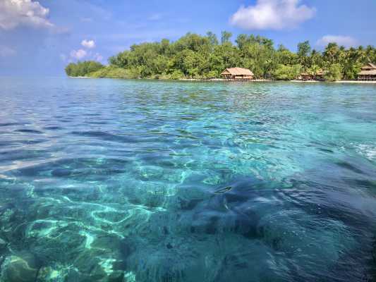 Raja Ampat - Tabari Dive Lodge 5