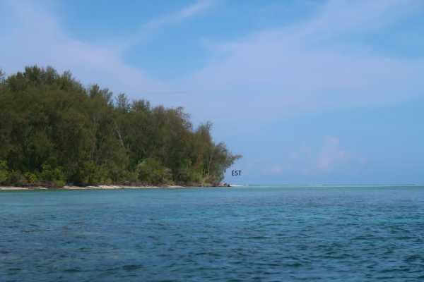 Raja Ampat - Tabari Dive Lodge 10