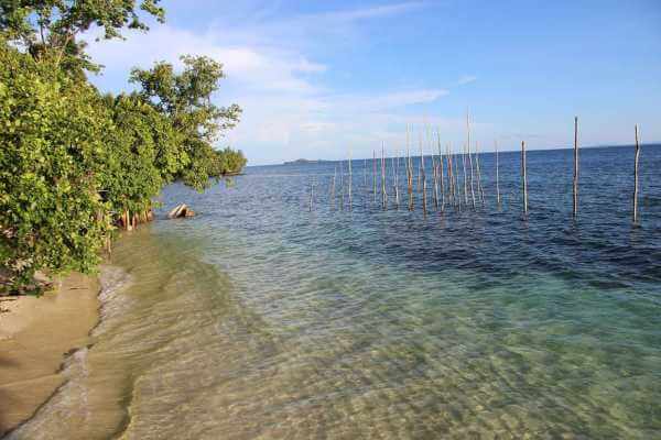 Raja Ampat - Tabari Dive Lodge 4