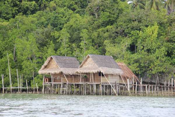 Raja Ampat - Tabari Dive Lodge 7