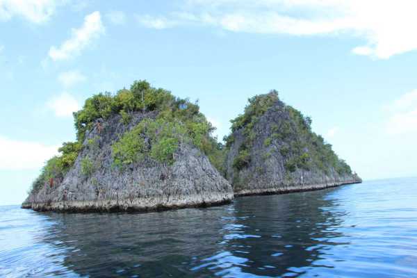 Raja Ampat - Tabari Dive Lodge 10