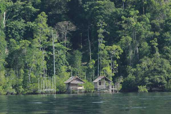 Raja Ampat - Tabari Dive Lodge 11
