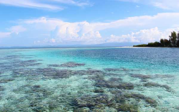 Raja Ampat - Tabari Dive Lodge 19