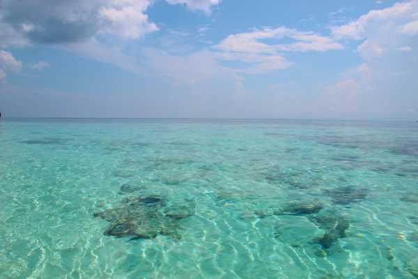 Raja Ampat - Tabari Dive Lodge 20