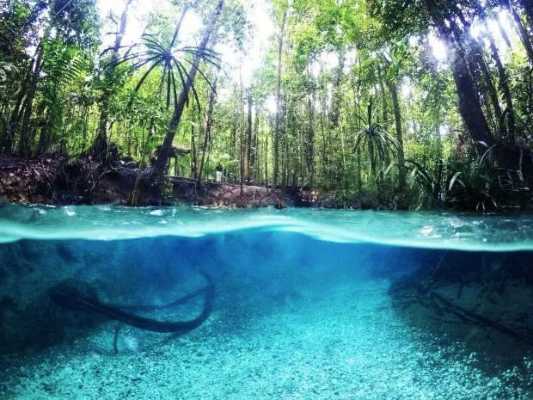 Raja Ampat - Kalibiru river 3