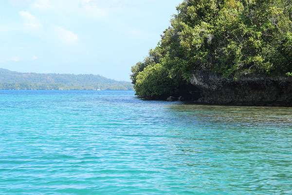 Raja Ampat - Tabari Dive Lodge 17