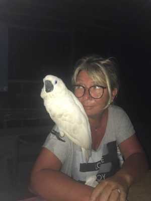 Qui sommes-nous - Tabari Dive Lodge 2