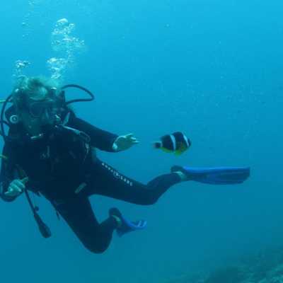Qui sommes-nous - Tabari Dive Lodge 10